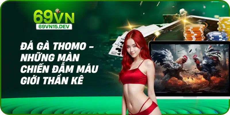 Đá Gà Thomo - Những Màn Chiến Đẫm Máu Giới Thần Kê
