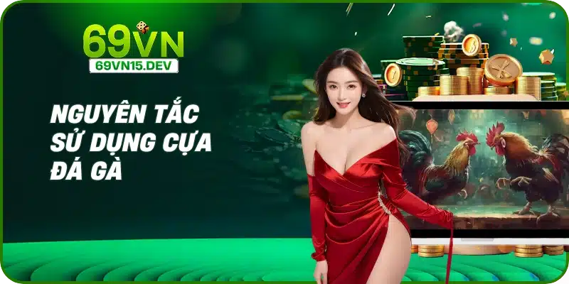 Nguyên tắc sử dụng cựa đá gà