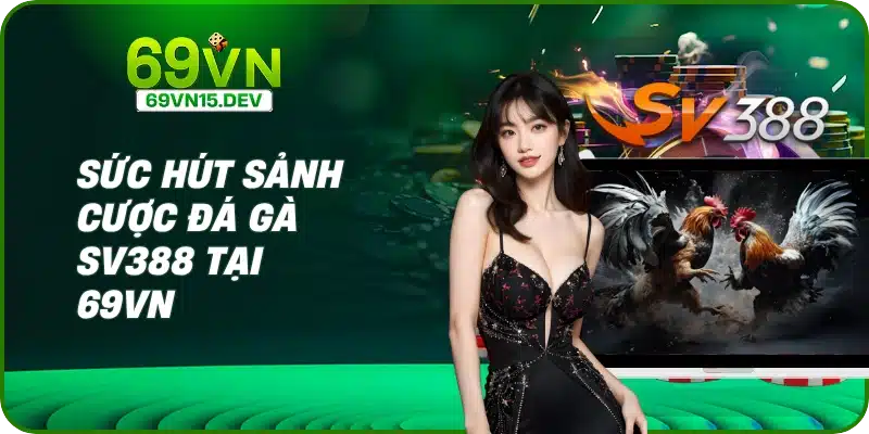 Sức hút sảnh cược đá gà SV388 tại 69VN