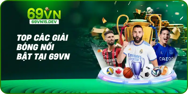 Top các giải bóng nổi bật tại 69VN